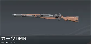 SR_curtsdmr